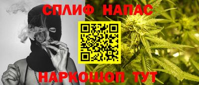 a pvp Будённовск