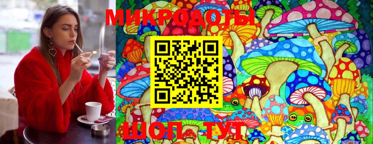 сколько стоит  Псилоцибиновые грибы GOLDEN TEACHER  Вход с VPN  Лосино-Петровский 